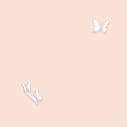 Gallinara