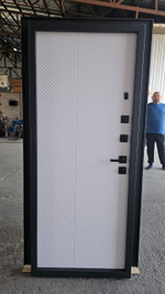 Дверь входная Пандора