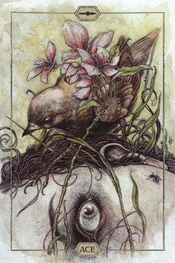 Hush Tarot / Таро Тишины