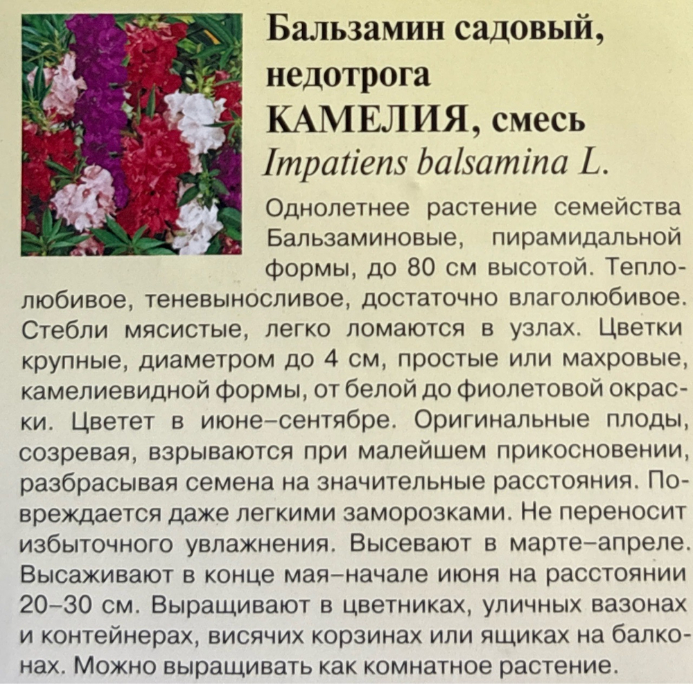 Бальзамин Камелия 0,1 г СМЦ-258
