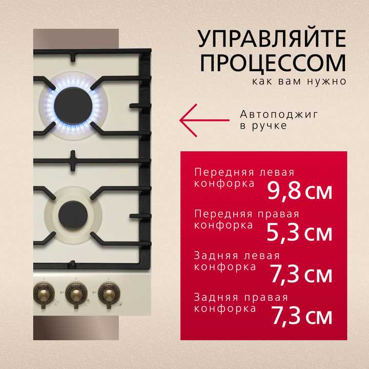 Газовая панель Hansa BHGY610391