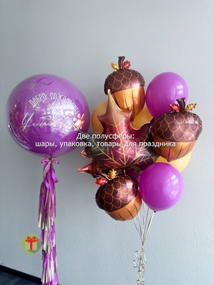 Набор шаров Первый класс с сферой