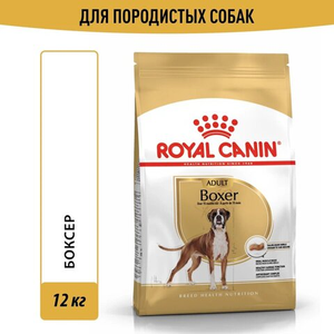 Корм для  взрослых собак породы боксер, Royal Canin Boxer Adult