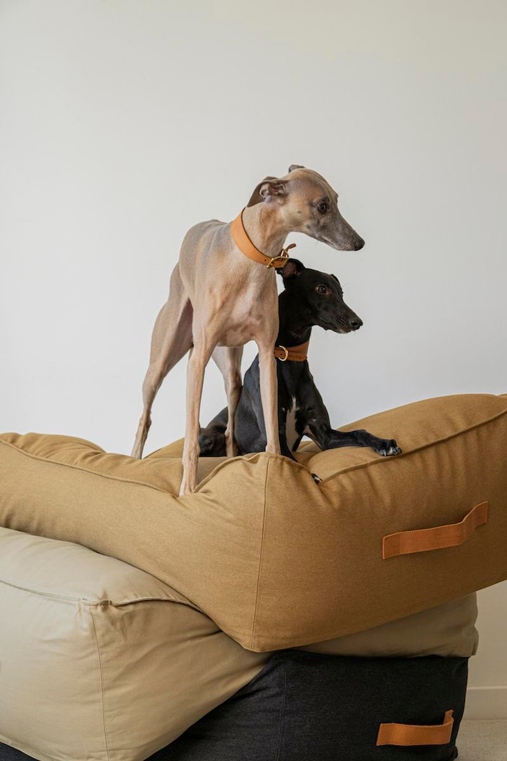 Лежанка "Пони-трамплини" Черная