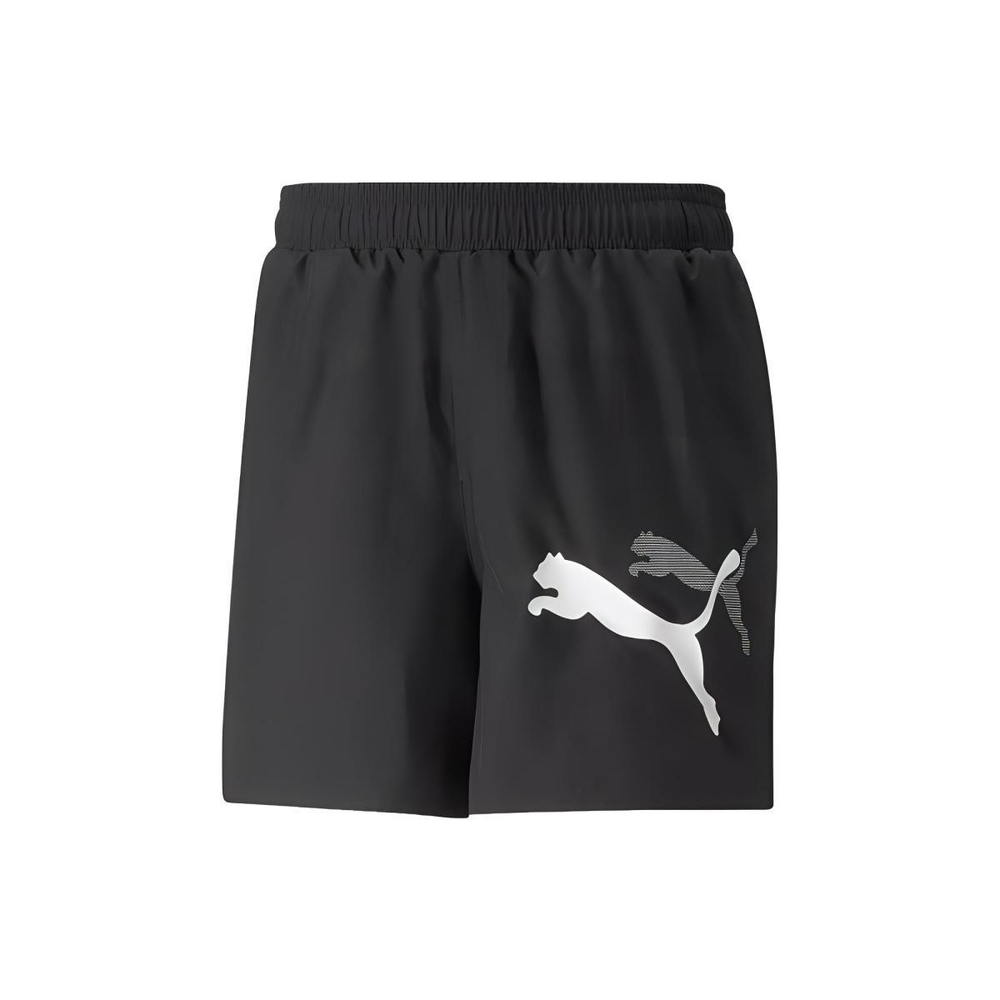 Шорты PUMA Logo, 675740-01