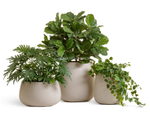 Кашпо TREEZ Effectory - Beton - Design-Чаша - Белый песок