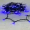 Светодиодная нить 100 синих LED ламп, 10 м., 24В., черный провод ПВХ, LTC (PST100-11-1B)