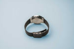 Наручные часы Bering 33441-102