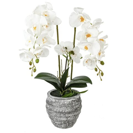 GAEM Цветочная композиция "Орхидея", L18 W18 H82 см