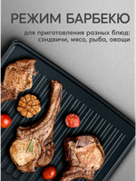 Электрогриль OASIS GR-DR