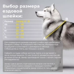 Комплект пояс для бега с собакой, ездовая шлейка и потяг White Wolf серия Спорт