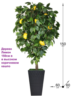 Искусственное дерево Лимон 150см в высоком коричневом кашпо ротанг