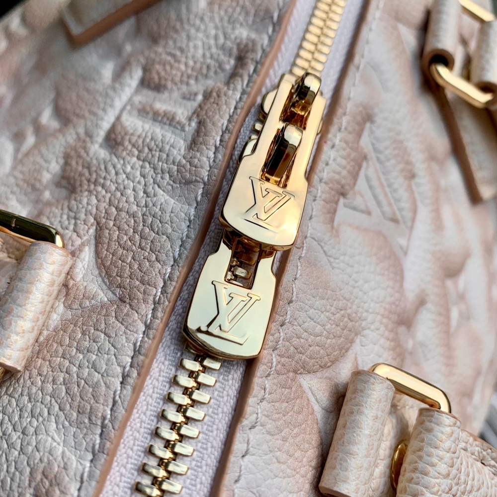 Louis Vuitton Speedy 20