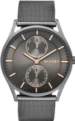 Мужские наручные часы Skagen SKW6180