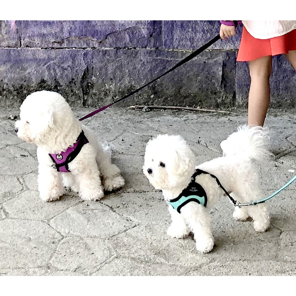 029 PA-HA Шлейка универсальная (регулируемый ползунок-клипса) Puppy Angel