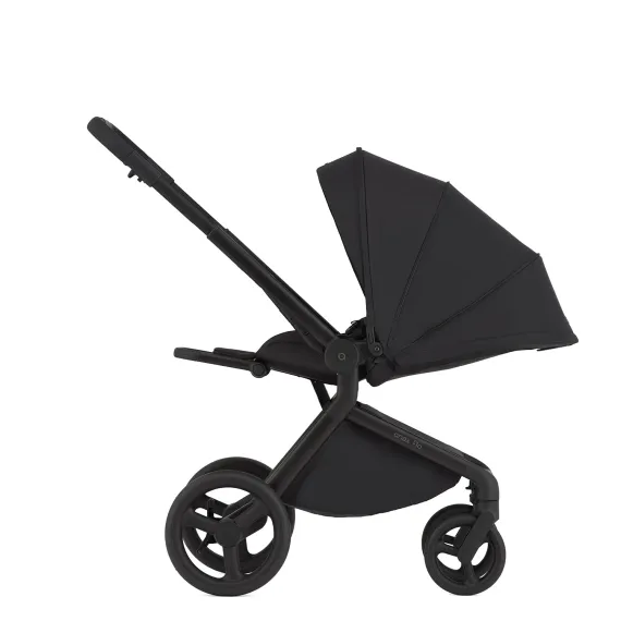 Коляска ANEX Flo 3 в 1 Lungo