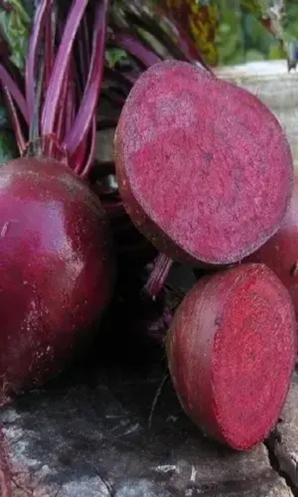 Семена Свекла Конкурс F1 - сахарная 2 гр (Марс) Б/П