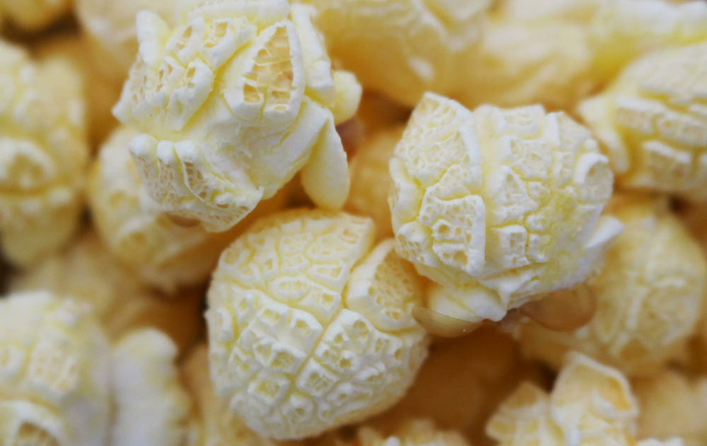 Зерно кукурузы премиальное (сорт карамель) MISS POPCORN, 22.68кг