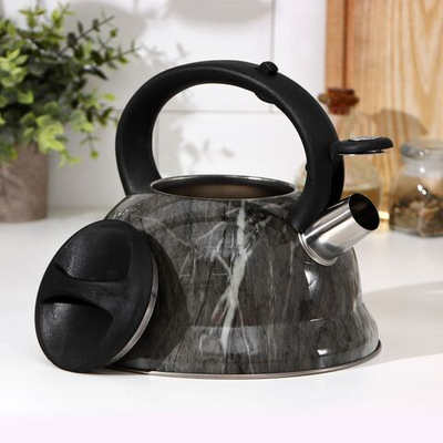 Чайник со свистком из нержавеющей стали Доляна «Эшфорд», 2,8 л (Цвет: не задано)