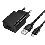 Hoco CS91A Leader зарядное устройство набор (Micro-USB)