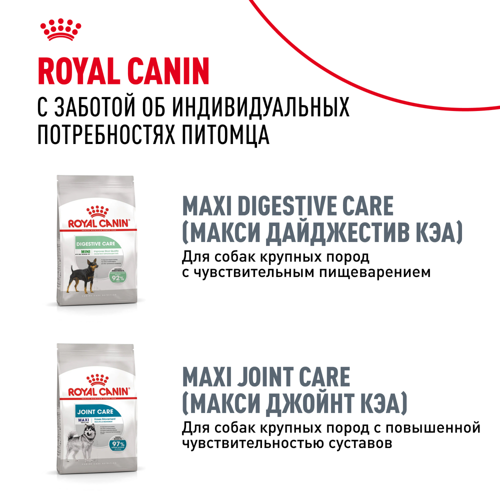 Royal Canin Maxi Dermacomfort Корм сухой для взрослых собак крупных размеров при раздражениях и зуде кожи - 10 кг