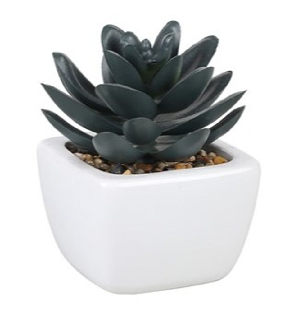 Искусственное комнатное растение в горшке Arvika, 6х9, полипропилен