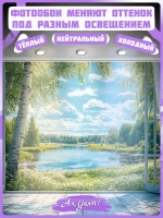 3D фотообои вид из окна и пейзаж с березами