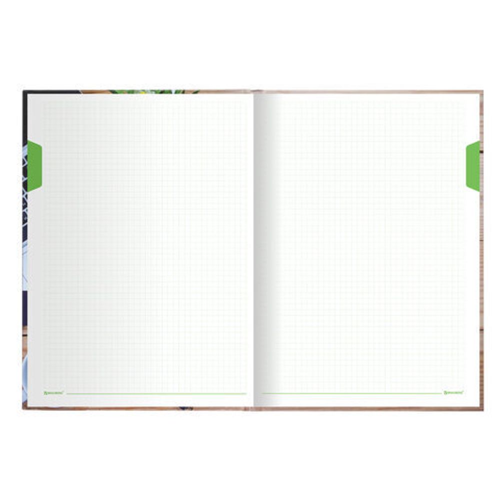 Блокнот БОЛЬШОЙ ФОРМАТ (215х295 мм) А4, 160 л., твердый, клетка, блок 5 цветов, BRAUBERG, "Офис", 111590