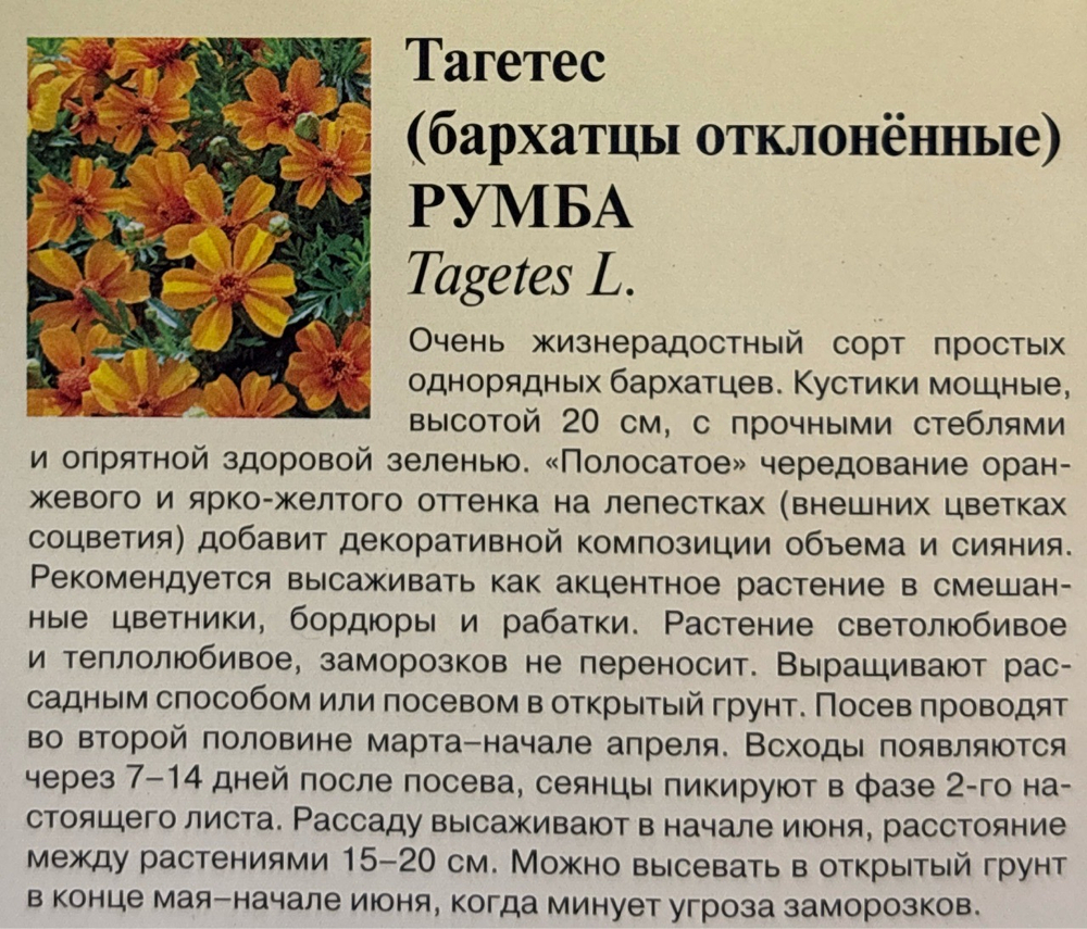 Бархатцы Румба откл. 10 шт СМЦ-481