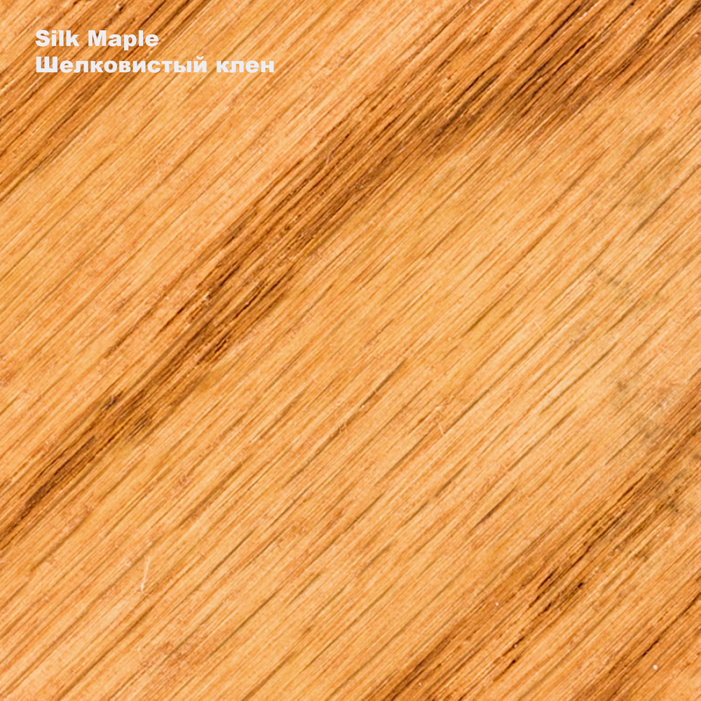 Silk Maple Шелковистый клен