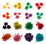 Сухоцветы для дизайна ногтей, Severina