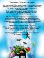 Герань Джонсонс Блю многолетняя