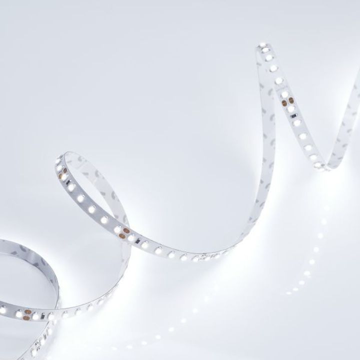 Светодиодная лента Arlight 9,6W/m 120LED/m 2835SMD холодный белый 5M 013747(2)