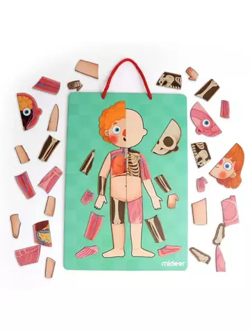 Магнитный пазл"Тело человека"