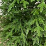 Ель искусственная «Аннабель» (Литая хвоя) 3 м