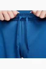 Шорты Nike Dri-FIT Academy