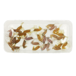 Рыболовные, силиконовые приманки. Рачки мормыш RuBaits Shrimp креветка. Набор для рыбалки на щуку, судака, окуня, форель. Зимняя рыбалка, микроджиг.