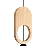 Подвесной светильник Freya FR5593PL-01B