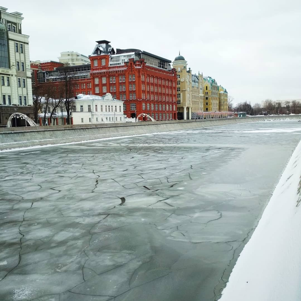 Грифон