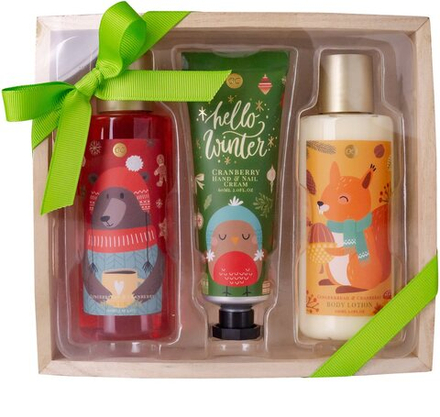 Accentra Hello Winter - подарочный набор (для всех типов кожи) /   / GTIN 4015953679728