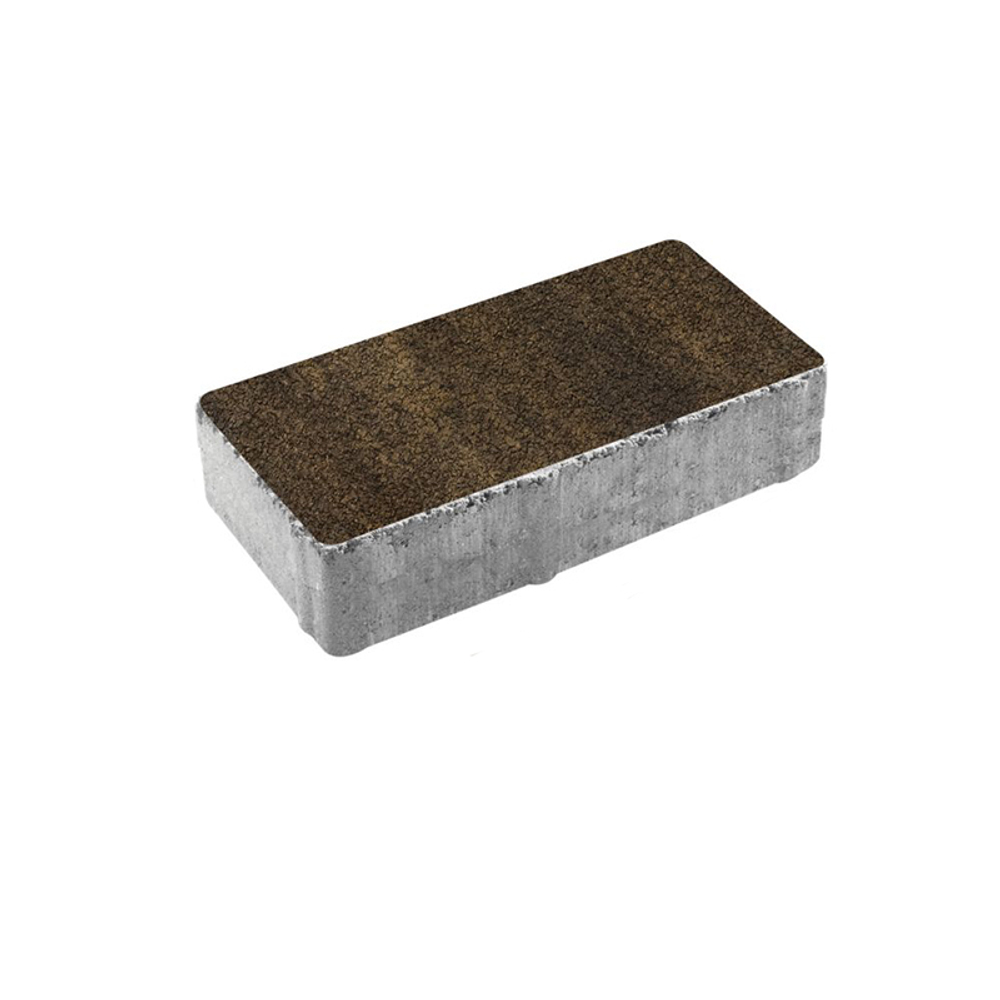 Тротуарная плитка ПРЯМОУГОЛЬНИК 200x100 мм - Листопад гранит Мокко