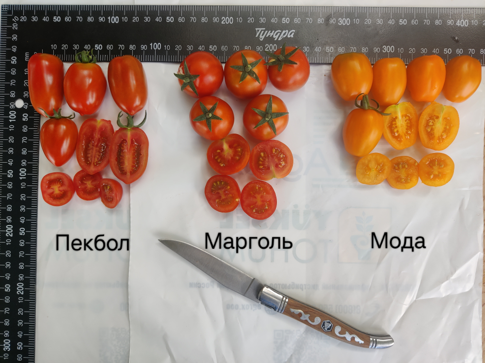 Марголь F1 семена томата индетерминантного ( Yuksel Tohum / )