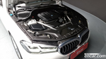BMW 5 Series (G30) 523d Luxury (11.2020)