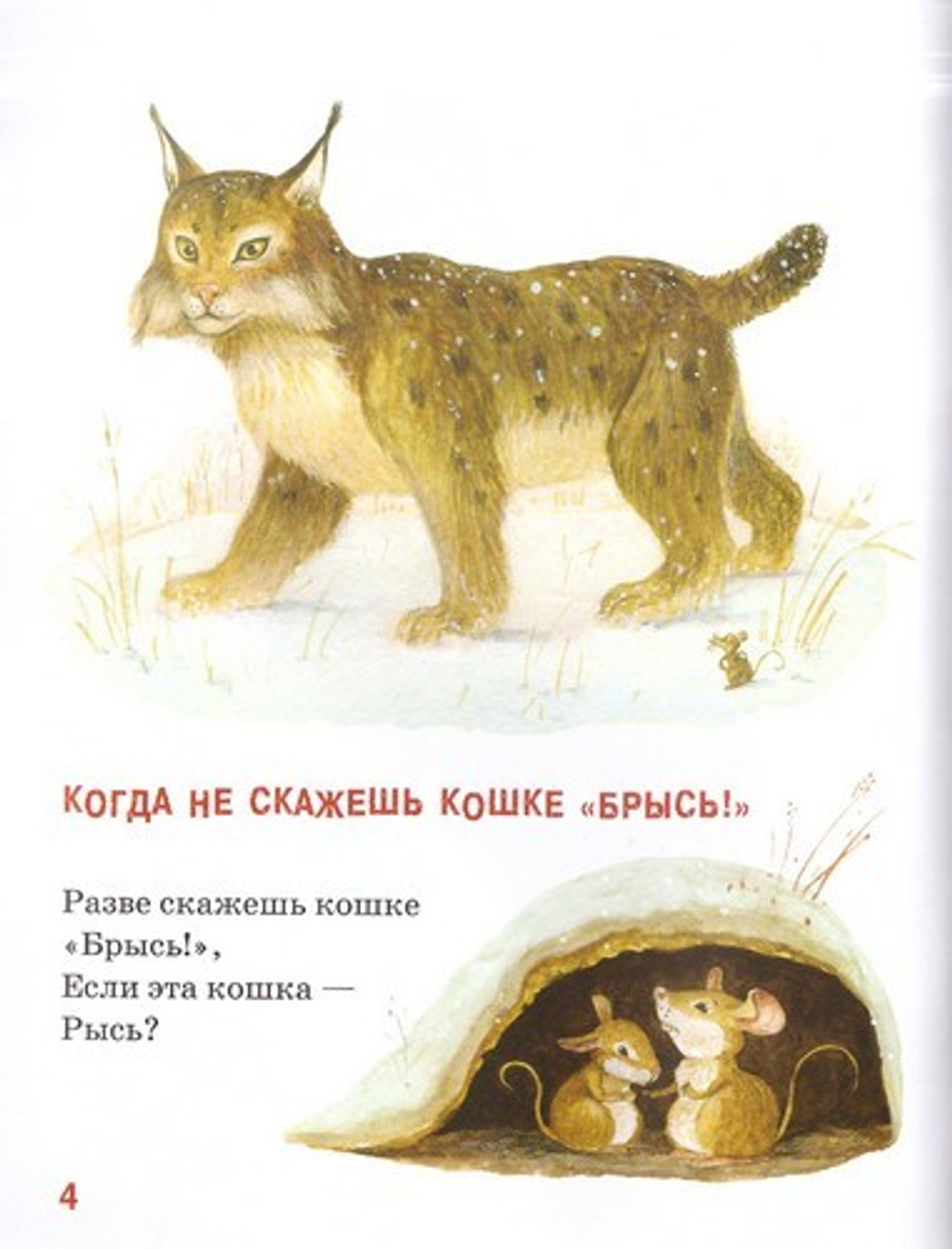 Как дружить с ежиком?