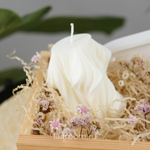 Подарочный бокс суккулент + свеча №2