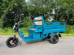 Грузовой электрический трицикл IKINGI CARGO C06 1500W (60V/45Ah) - Бирюзовый фото №5