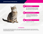 Eukanuba Adult Hairball Indoor сбалансированный корм для кошек 400г