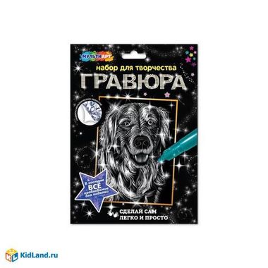 LORI/Творчество/Гравюра//Ретривер, серебро, 18*24 см/070-072