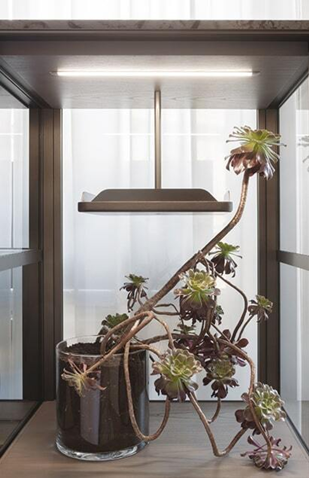 Комод Giorgetti DOMUS