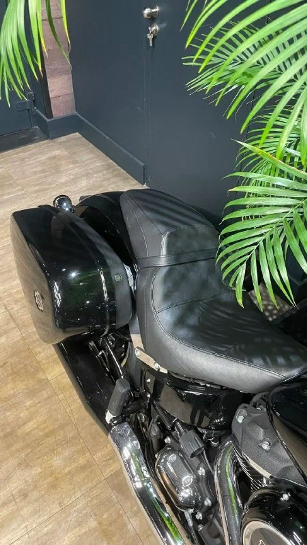 Harley-Davidson Sport Glide, 2022